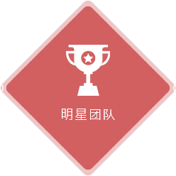 明星团队